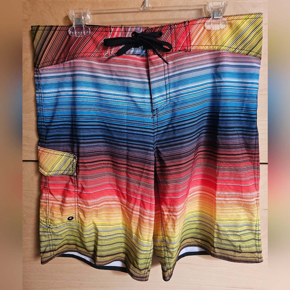 Men's Multi-Stripe Swim Trunks - Vibrant Rainbow